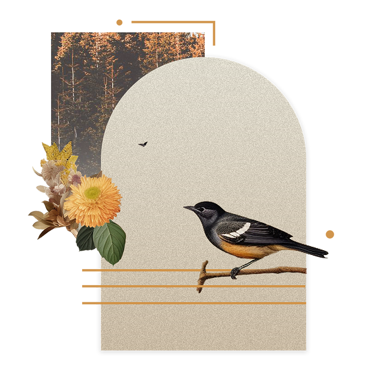 This Listening Life artwork