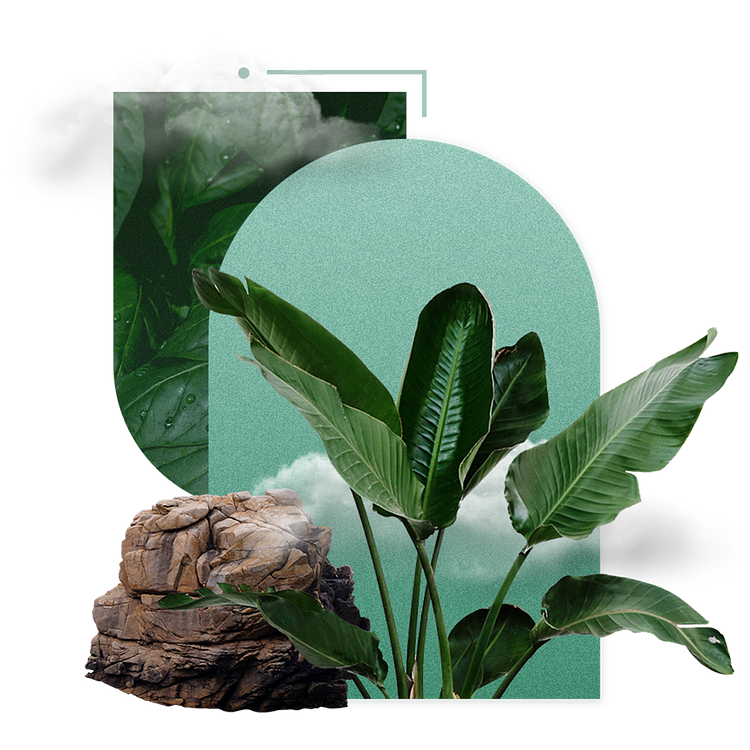 Bless Your Heart: Speaking Blessing in a Broken World artwork